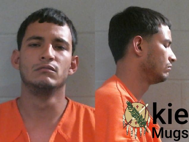 Booking photo of Luis Gabriel Boscan