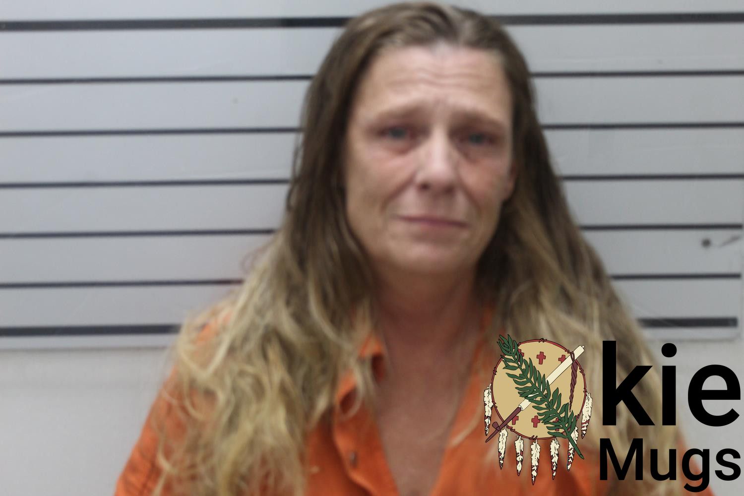 Booking photo of DEBRA ANN SOLENBERG