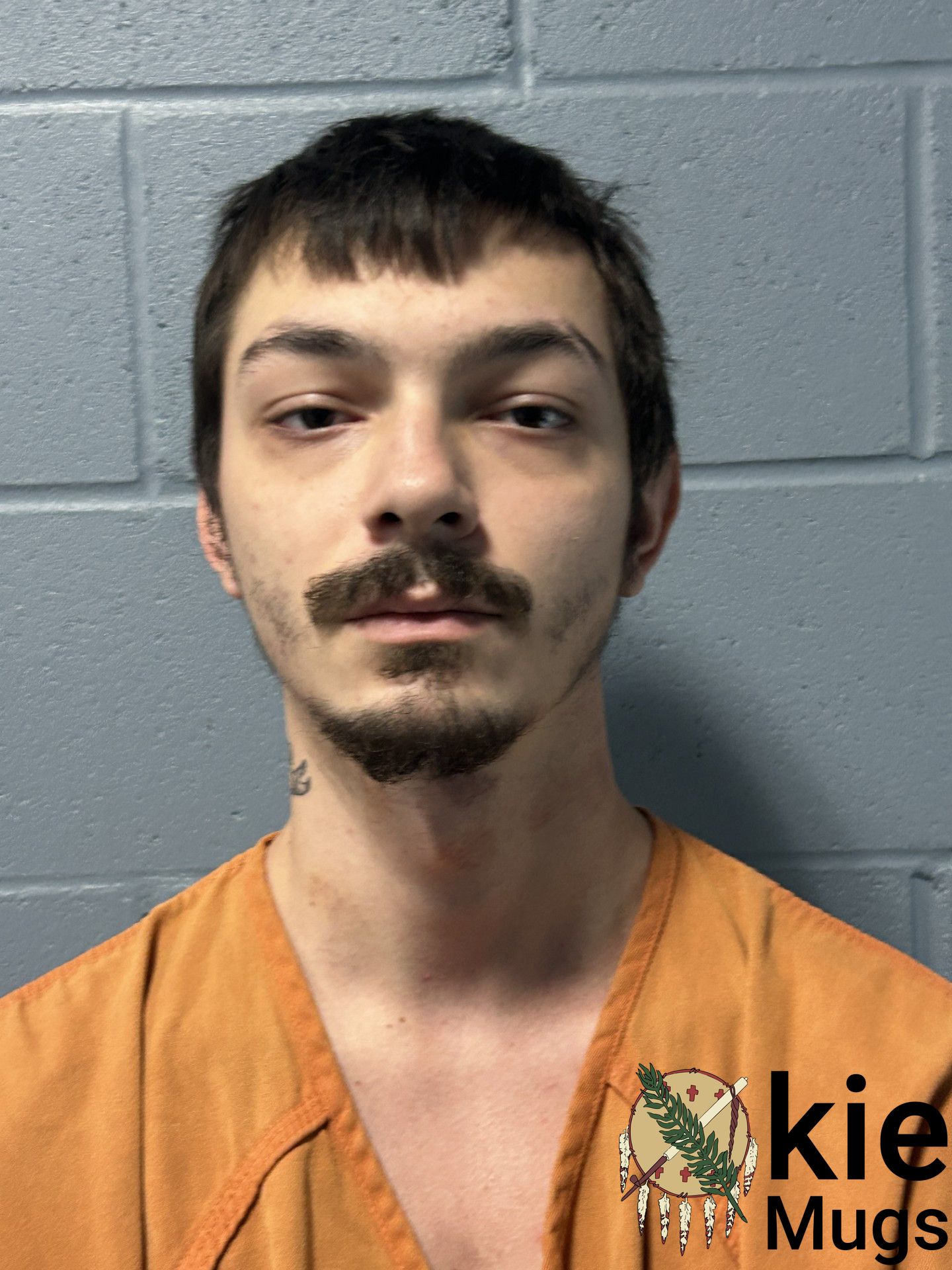 Booking photo of DEVON WILLIAMS