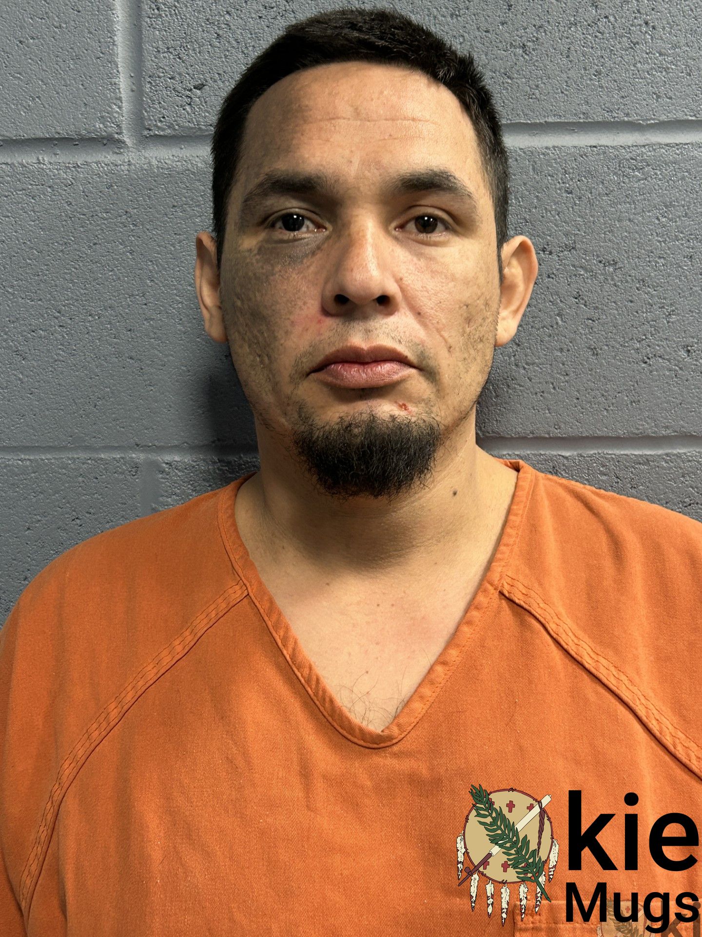 Booking photo of ROCKY GRITTS