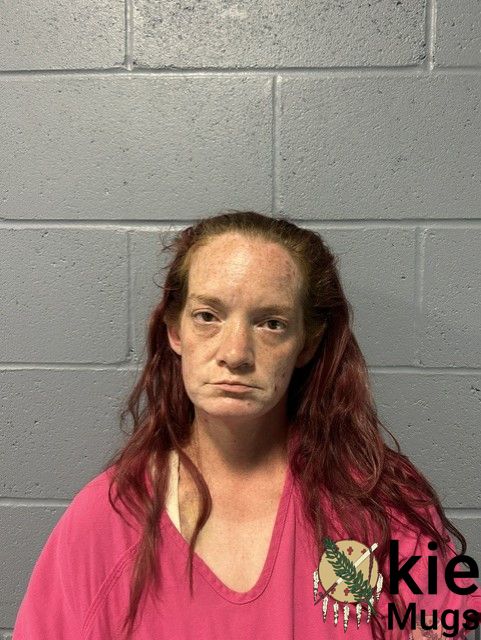 Booking photo of Nichole Danley