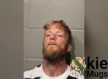 Booking photo of Nicky Lee Mitchell