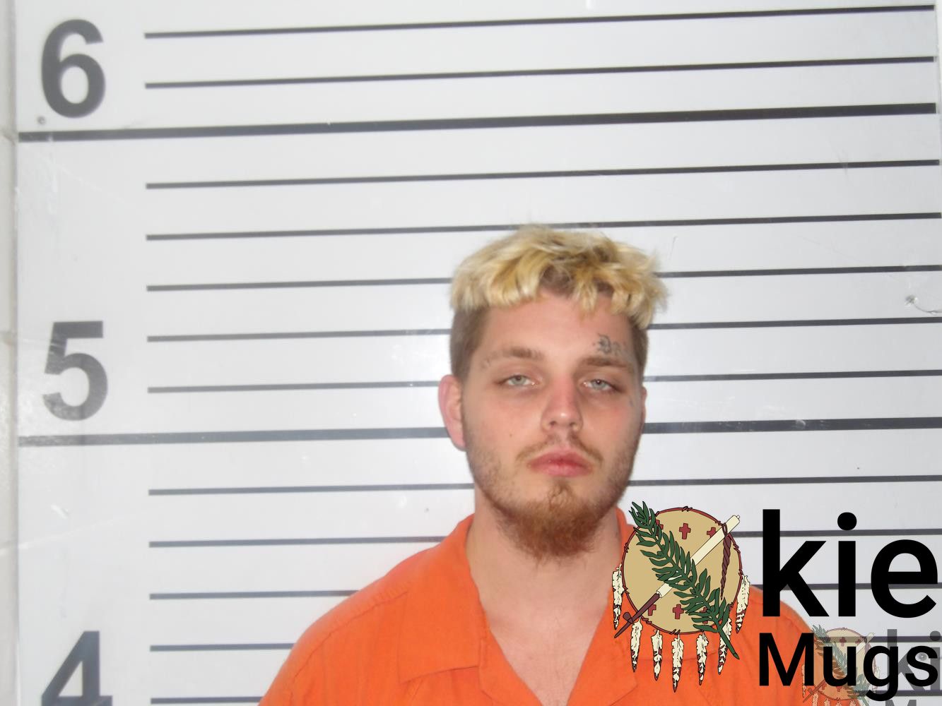 Booking photo of DOMINICK LEE RAVEN