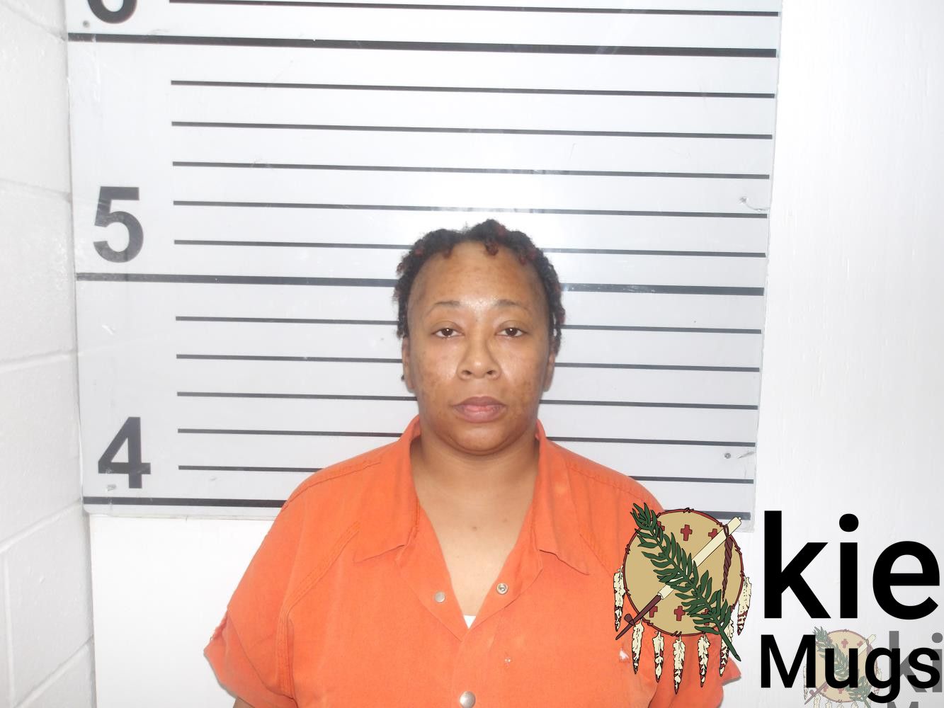 Booking photo of Didasha Lanail Porter