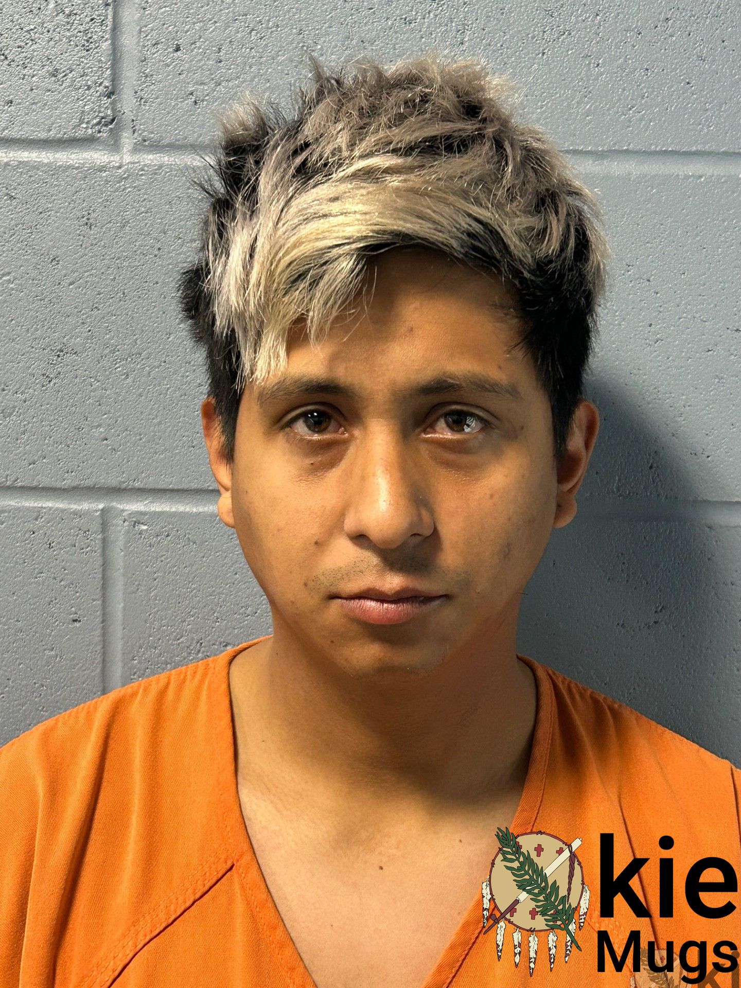 Booking photo of FERNANDEZ SUAREZ, JOHNANDER
