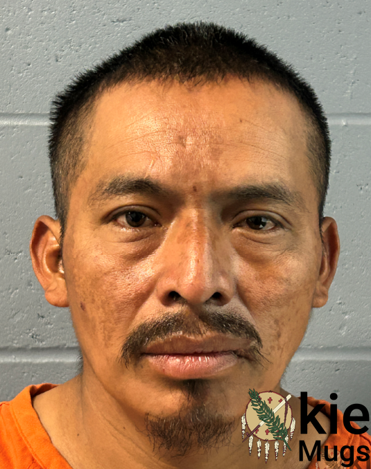 Booking photo of Hermando Surcal