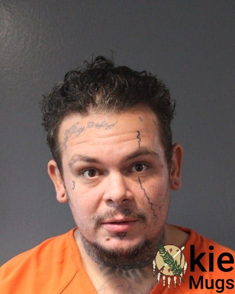 Booking photo of Michael Joseph Lyons