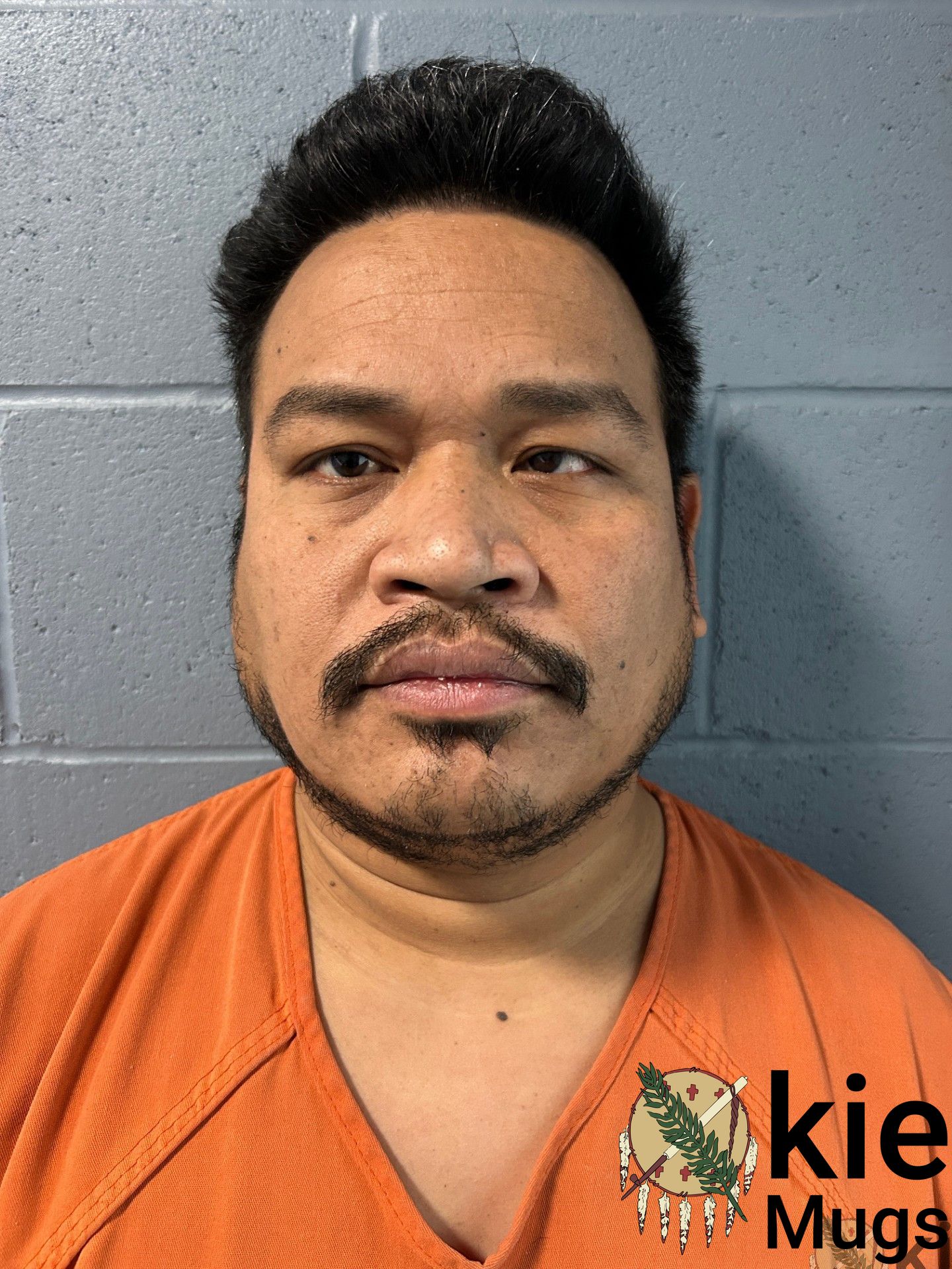 Booking photo of ODINATUS KASMIR