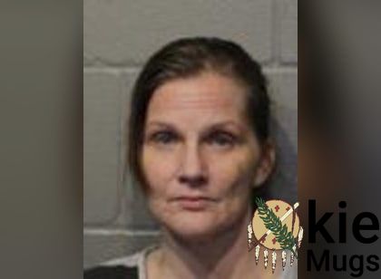 Booking photo of Amanda Jean Donovan