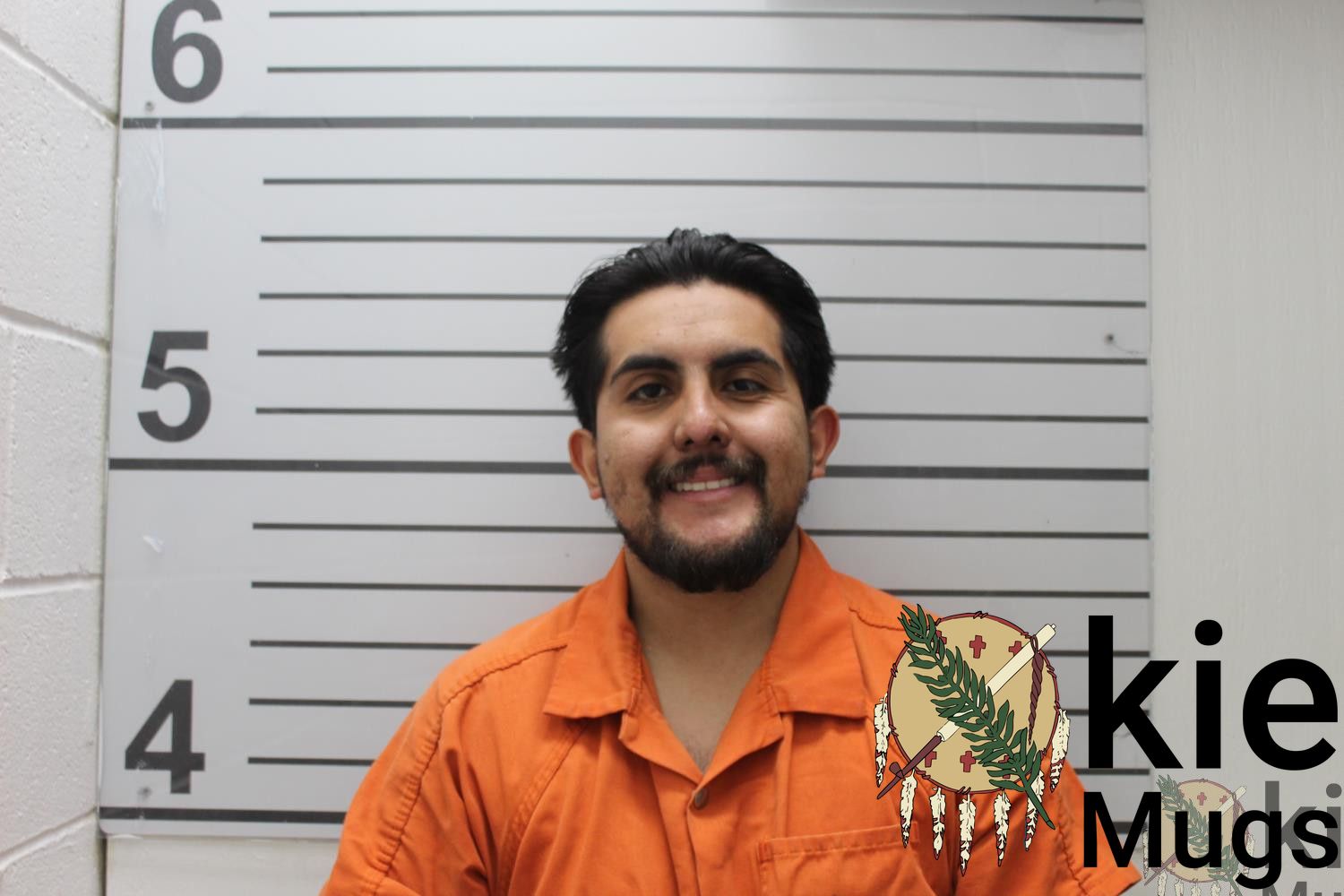 Booking photo of LUIS HERNANDEZ