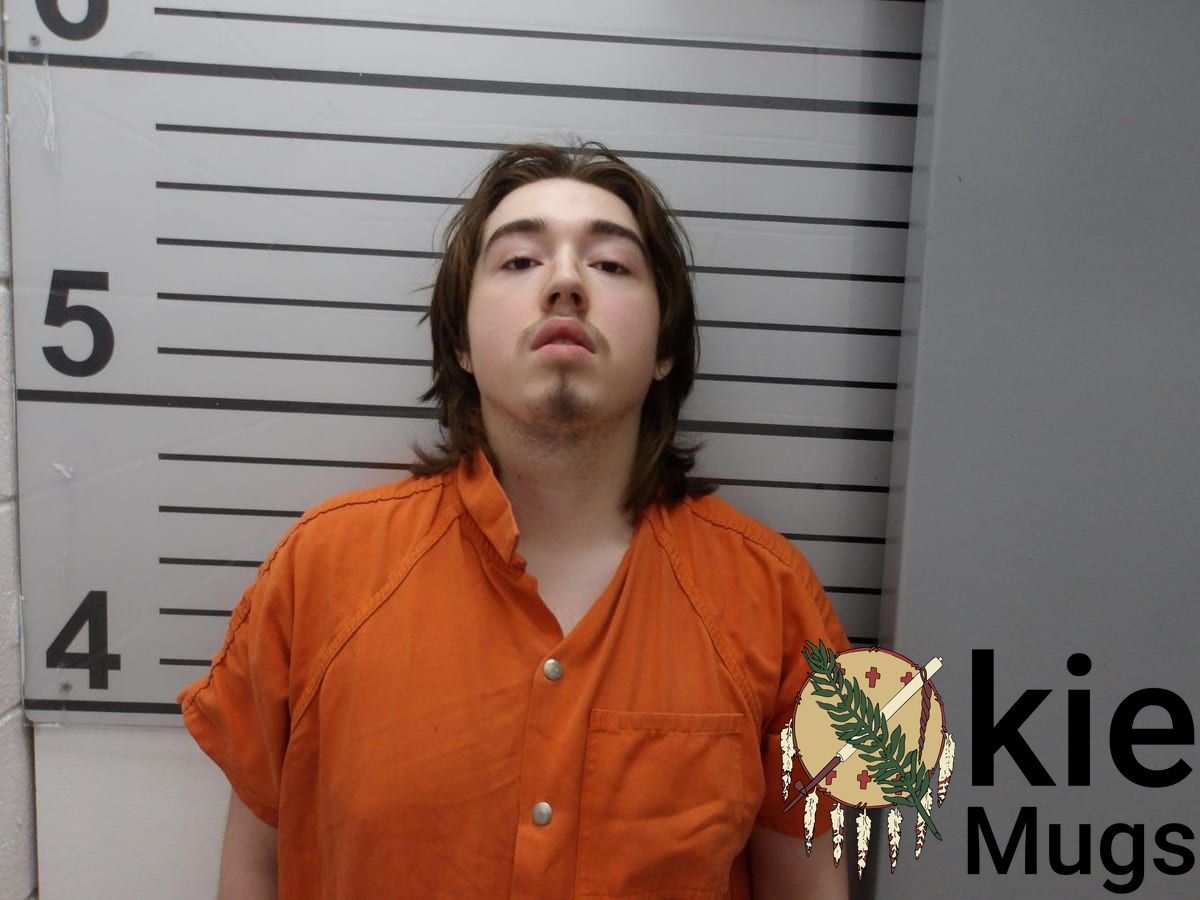 Booking photo of Aries Kane Potter