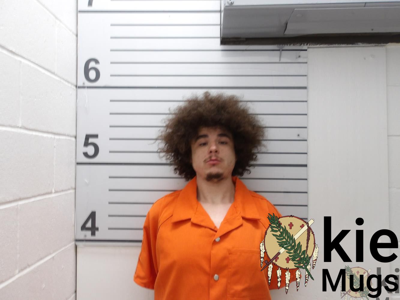 Booking photo of Jesse Townsend