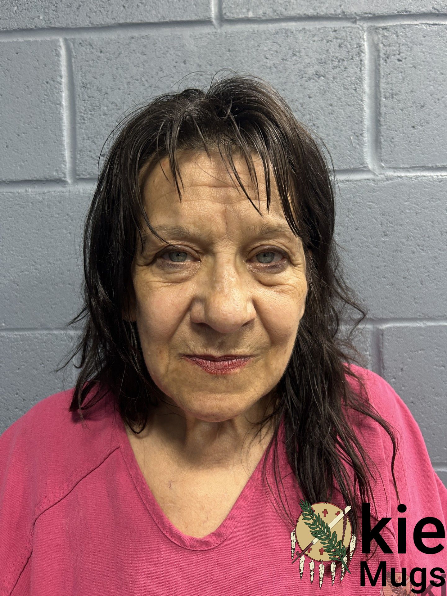 Booking photo of DAVID, SONYA