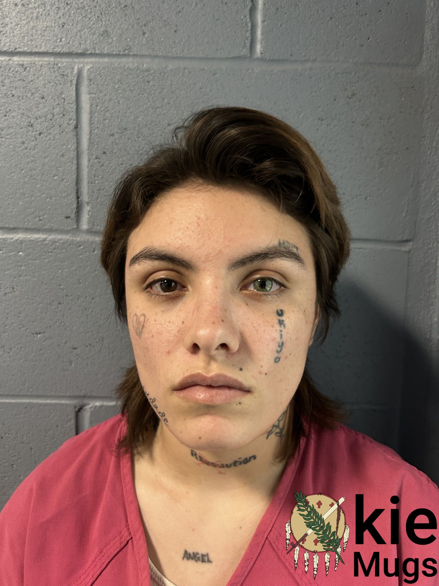 Booking photo of ARIANNA GRIFFIN
