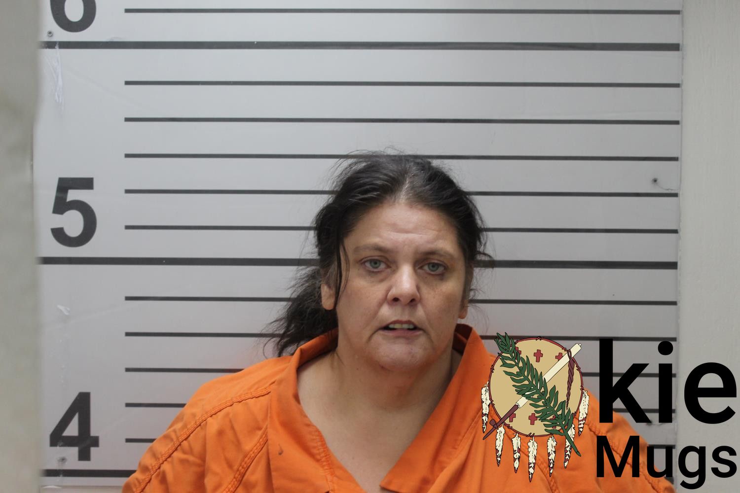 Booking photo of JESSICA ALTTIE HALL