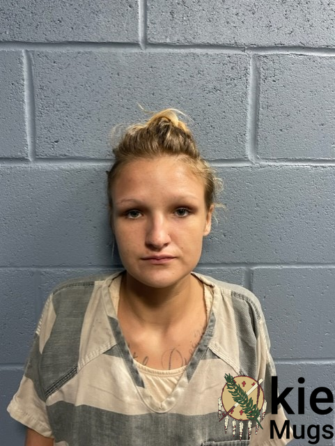 Booking photo of ALEXA STEELE
