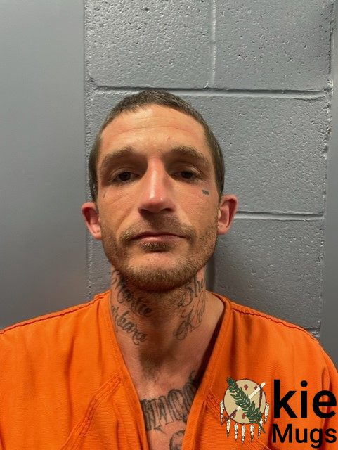 Booking photo of DUSTIN HICKS