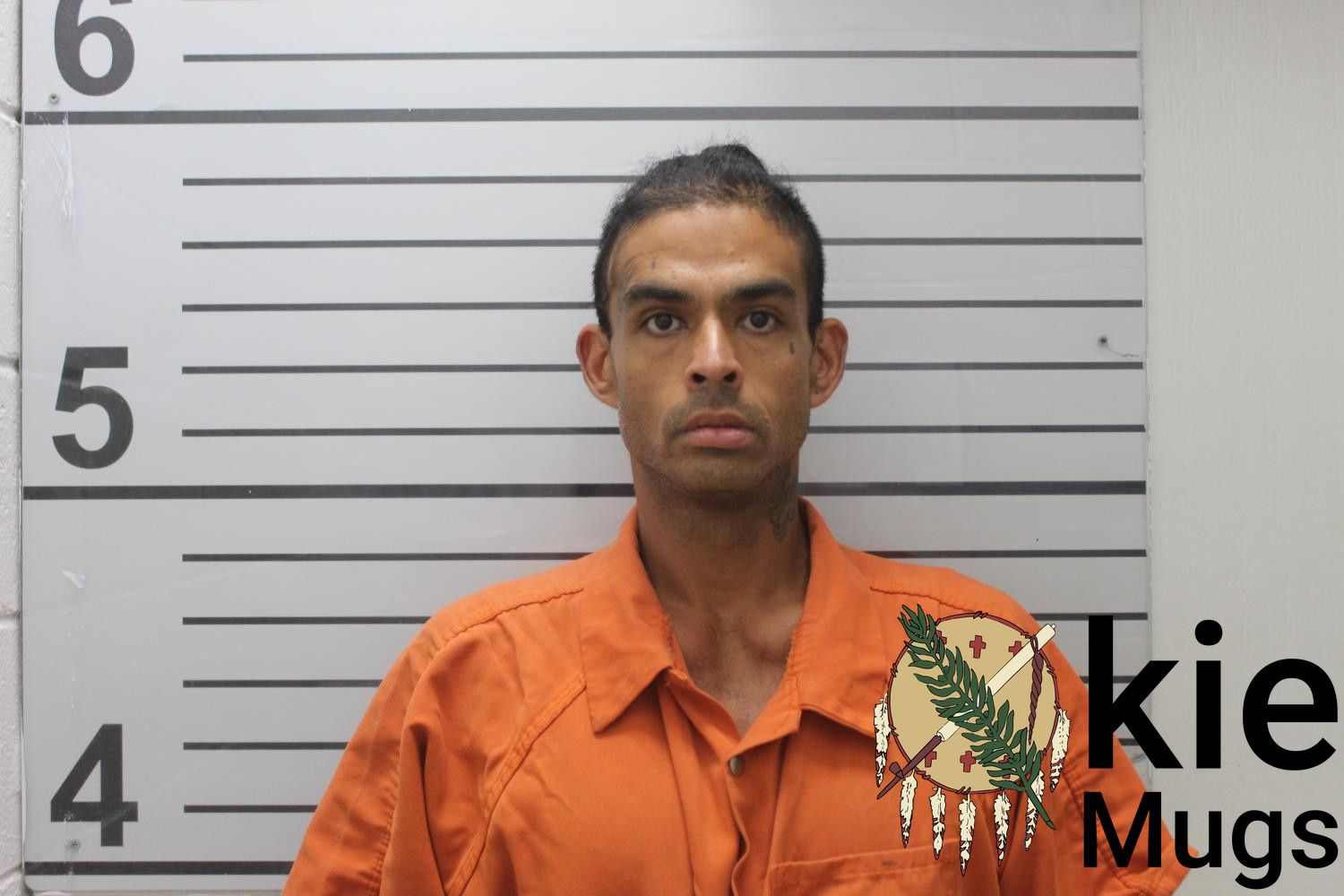Booking photo of LEWIS MITCHELL (CREEK) WALKER