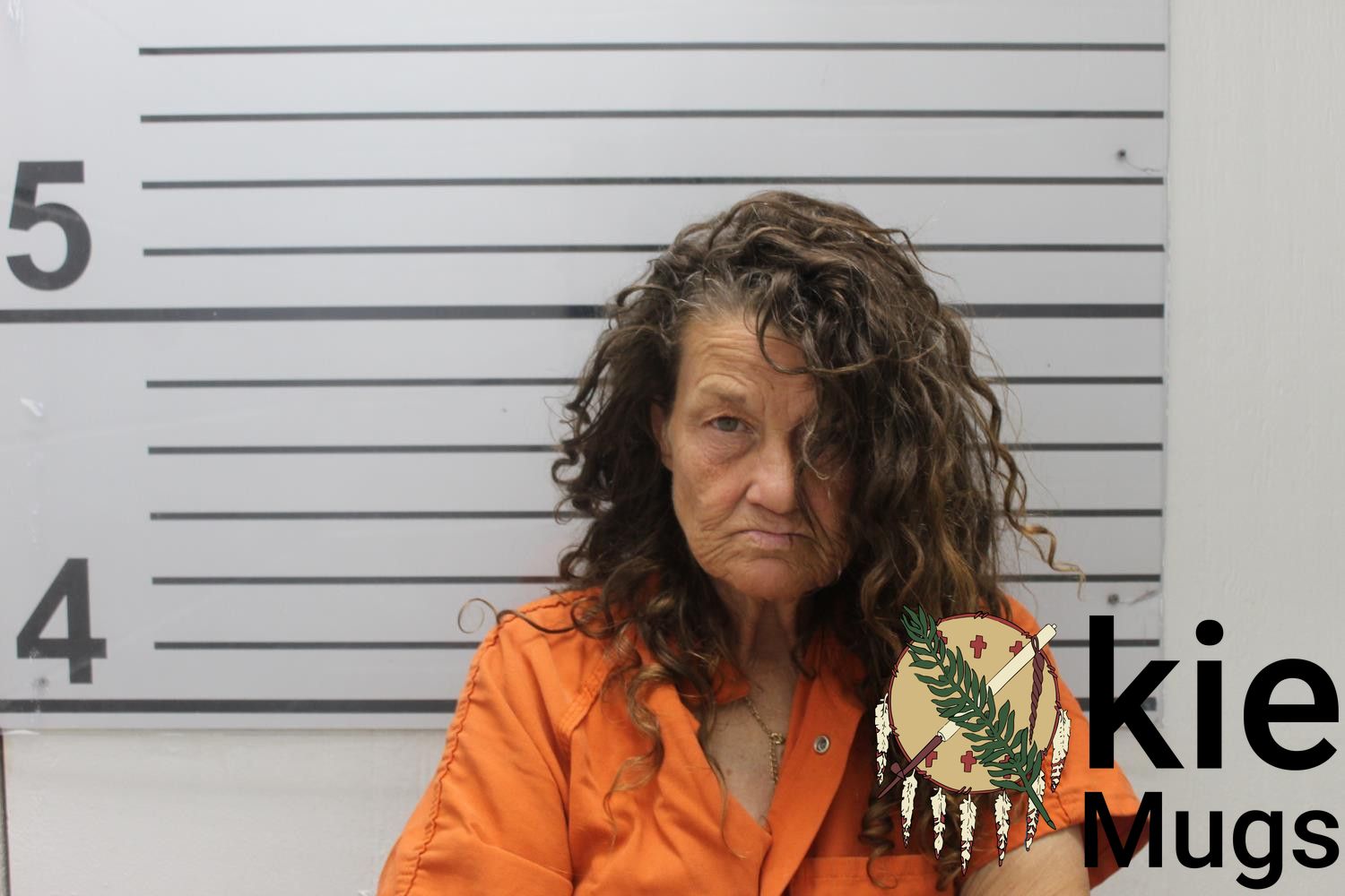Booking photo of LOU ANN ADAIR